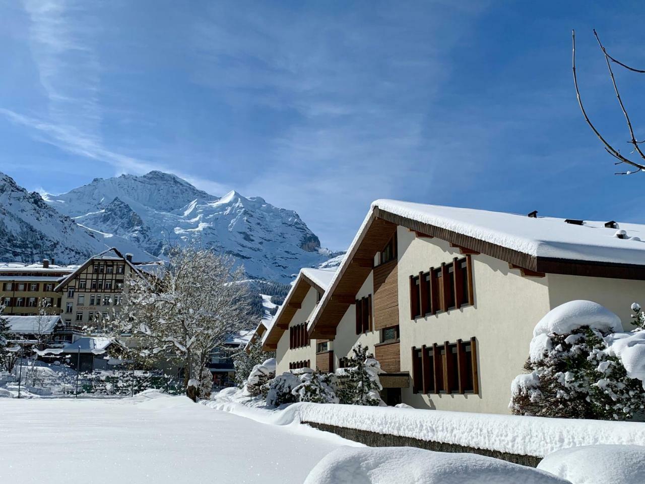 Chalet Primula Penthouse Wengen Kültér fotó